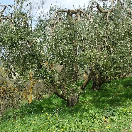 Farm stay Il Torrione *