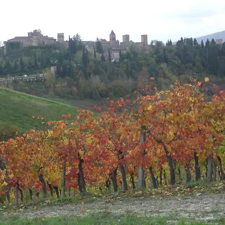 Il Torrione Farm stay Certaldo