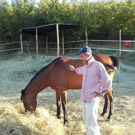 Il Torrione Bauernhof Certaldo