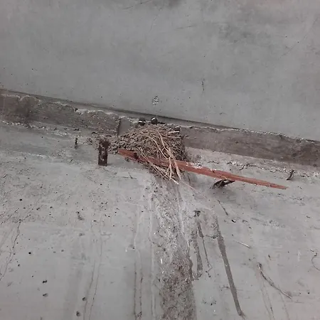 Il Torrione Bauernhof