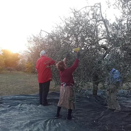 Il Torrione * Certaldo