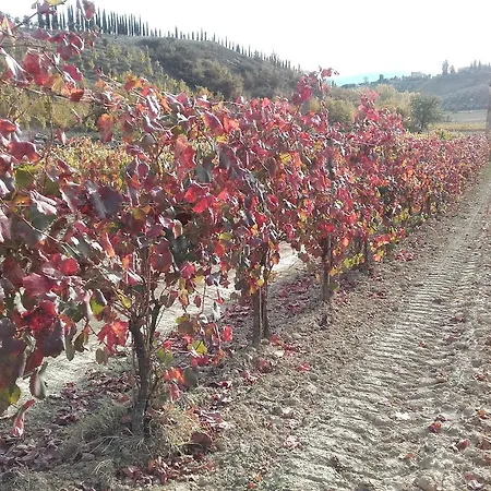 Il Torrione Farm stay