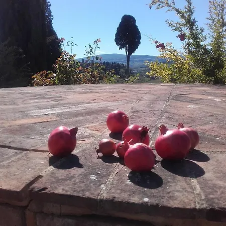 Il Torrione Vakantieboerderij
